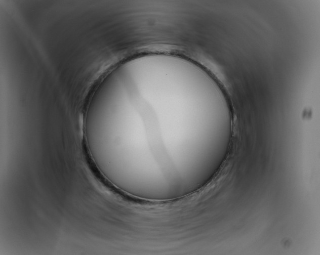 X0000101470013200807071230