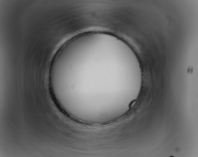X0000101470015200807071230