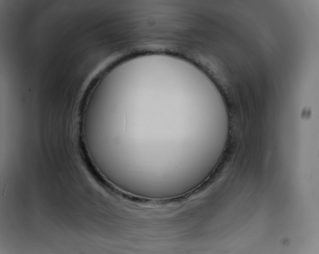 X0000101470016200807071230