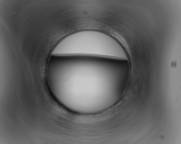 X0000101470017200807071230