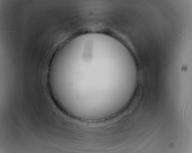 X0000101470018200807071230