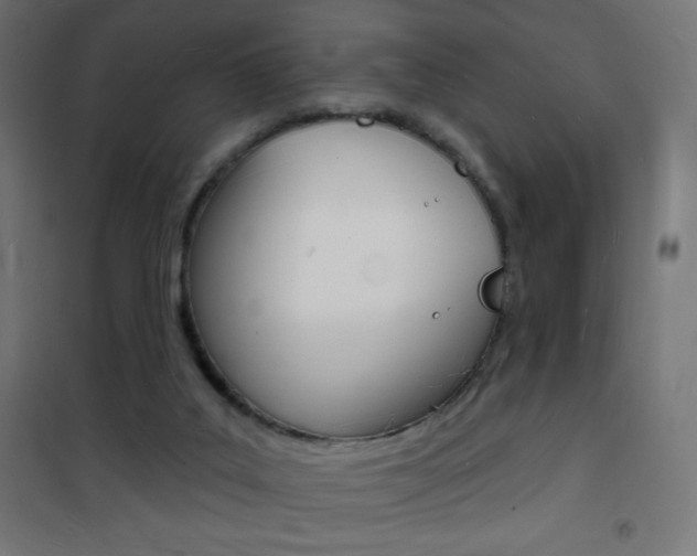 X0000101470019200807071230