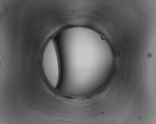 X0000101470020200807071230