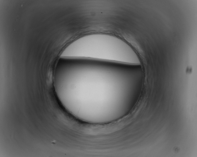 X0000101470021200807071230