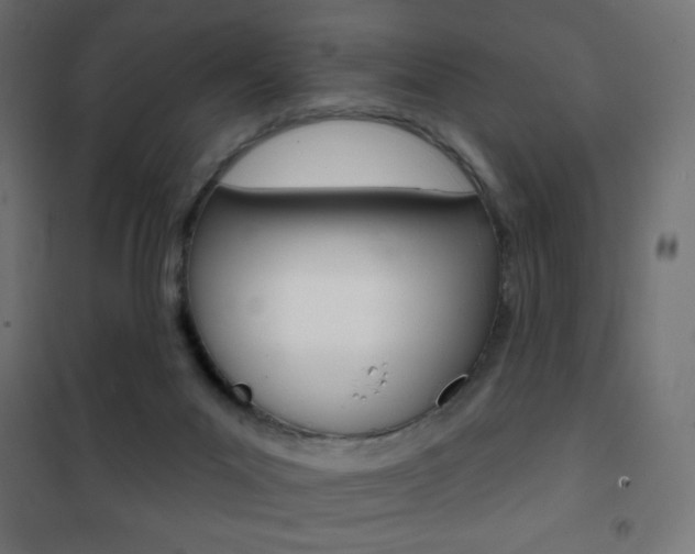 X0000101470023200807071230