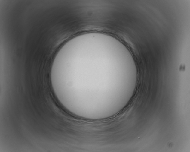 X0000101470024200807071230
