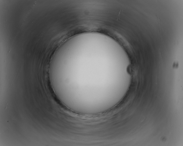 X0000101470026200807071230
