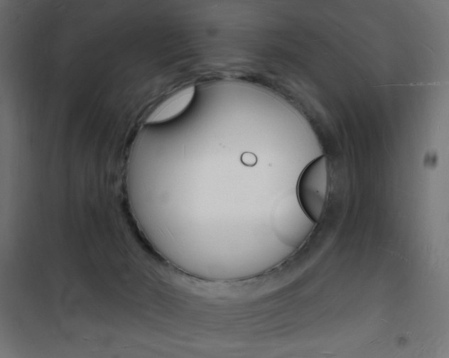 X0000101470030200807071230
