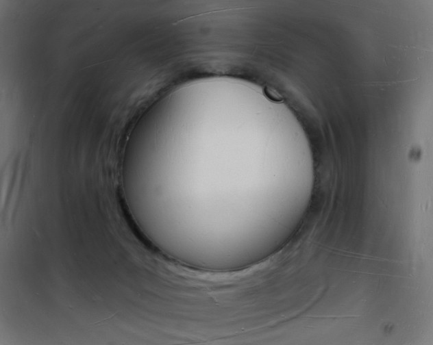 X0000101470031200807071230