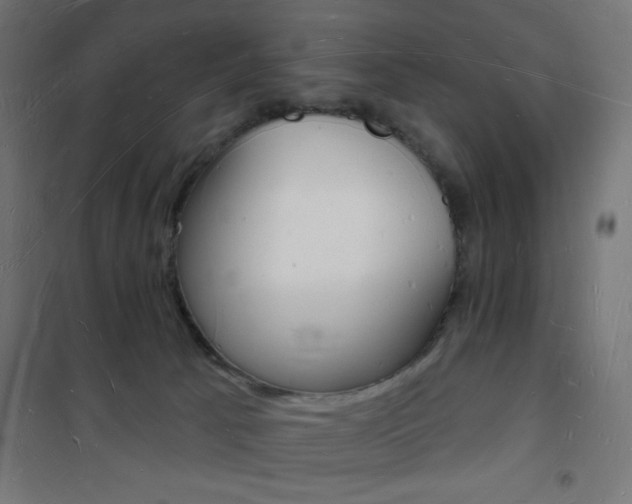 X0000101470033200807071230