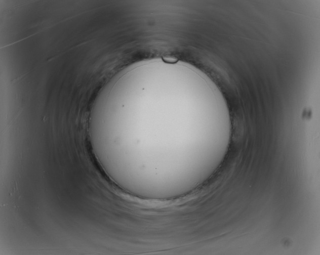 X0000101470034200807071229