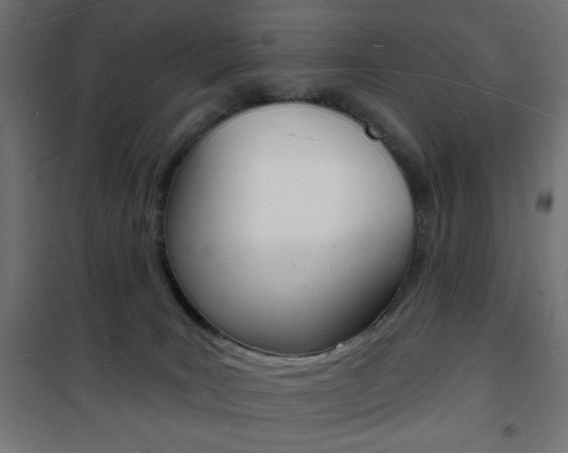 X0000101470035200807071229