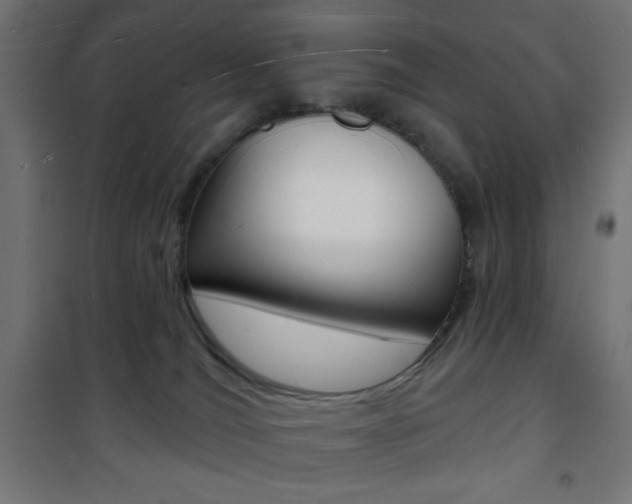 X0000101470036200807071229