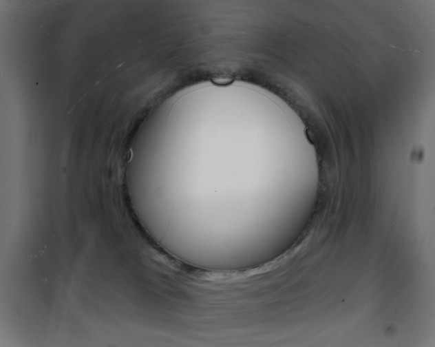 X0000101470037200807071229