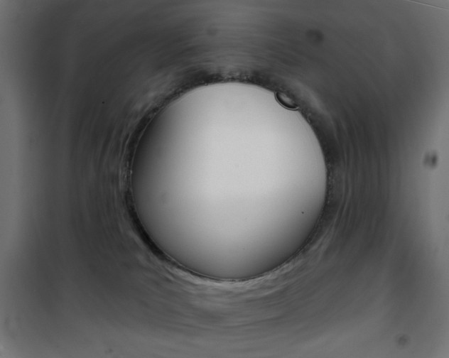 X0000101470039200807071229