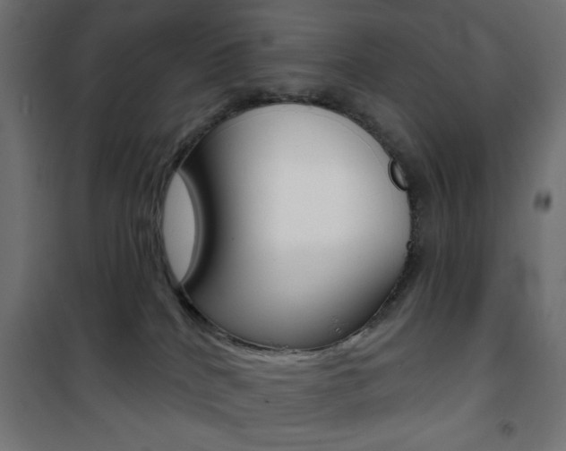 X0000101470040200807071229