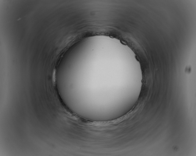 X0000101470041200807071229