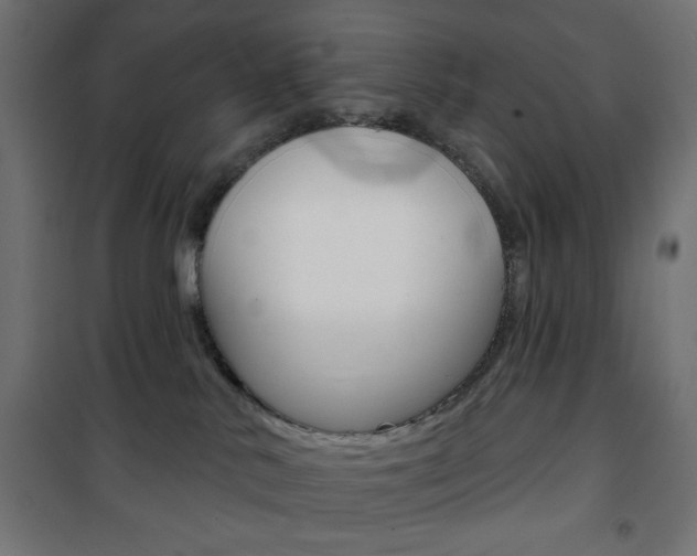 X0000101470042200807071229