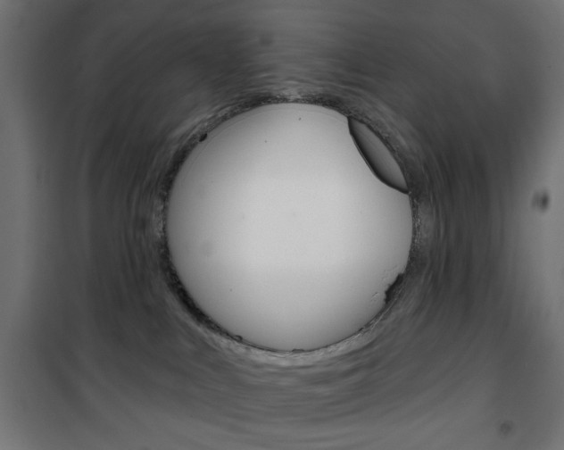 X0000101470043200807071229