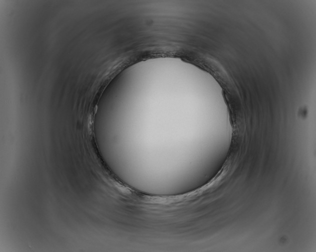 X0000101470045200807071229