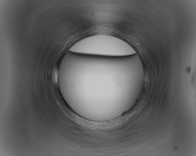 X0000101470046200807071229