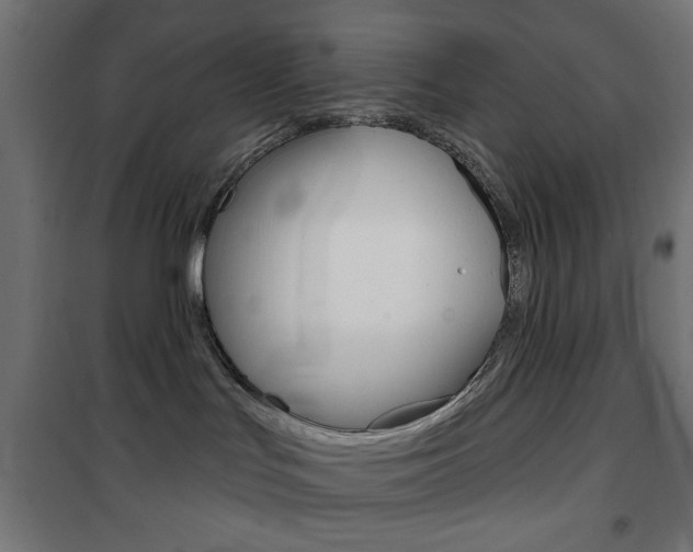 X0000101470047200807071229