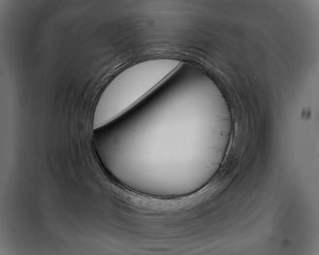 X0000101470048200807071229