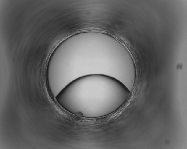 X0000101470049200807071228
