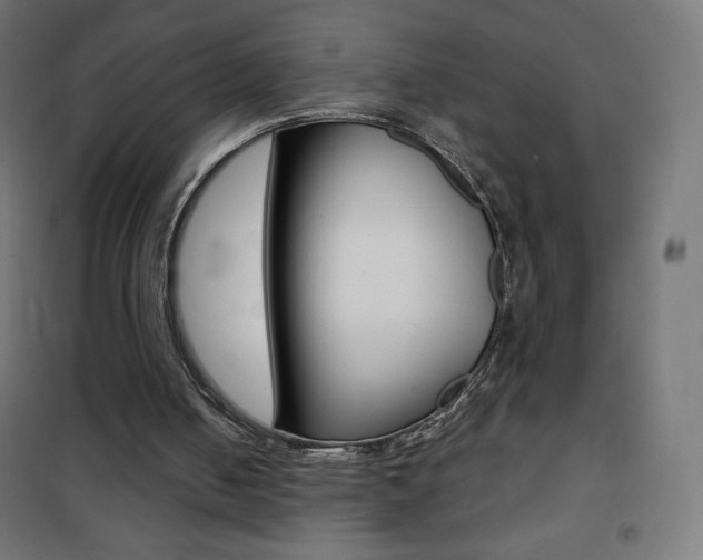 X0000101470050200807071228