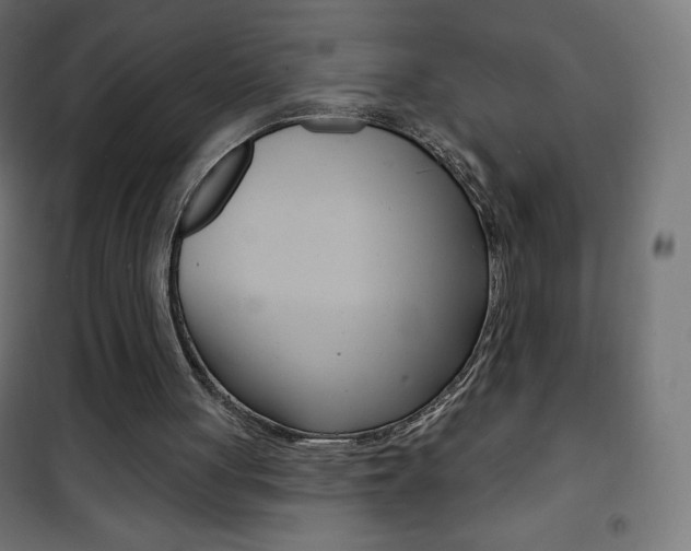 X0000101470051200807071228