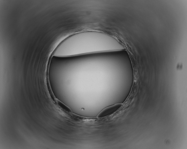 X0000101470052200807071228