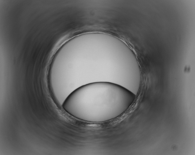 X0000101470053200807071228