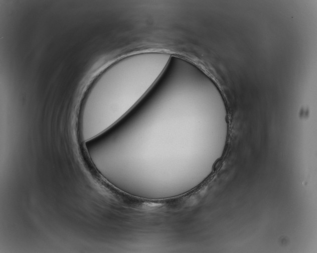 X0000101470055200807071228