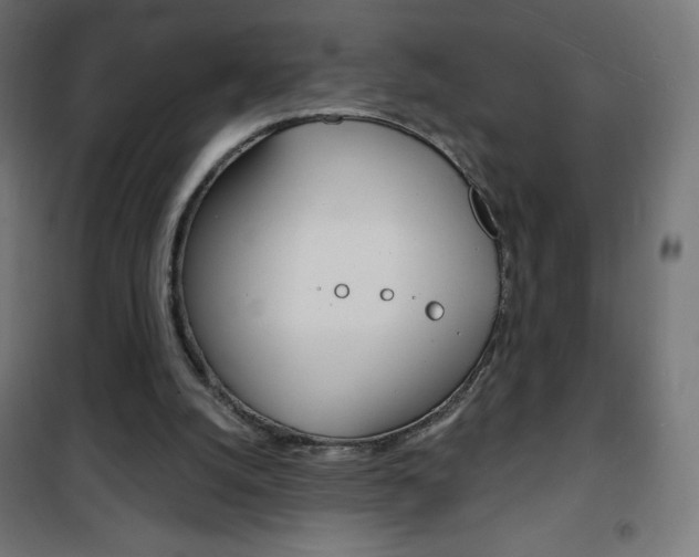 X0000101470056200807071228