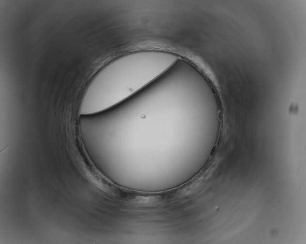 X0000101470057200807071228