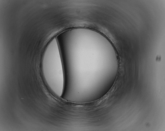 X0000101470058200807071228