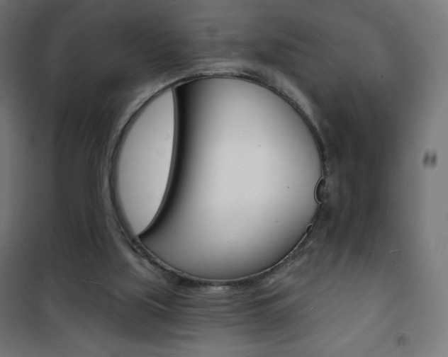 X0000101470059200807071228