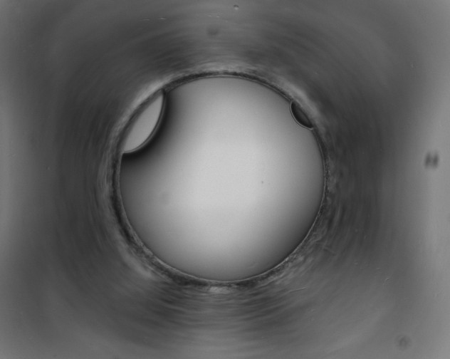 X0000101470060200807071228