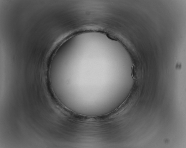 X0000101470064200807071228