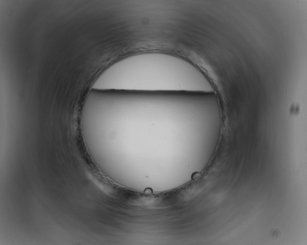 X0000101470065200807071229