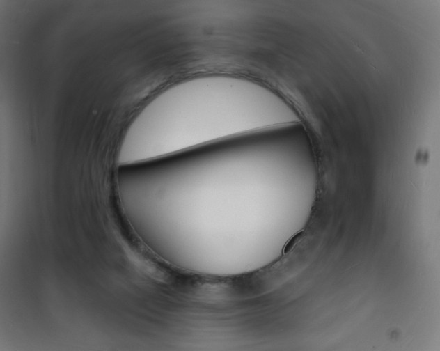 X0000101470066200807071229