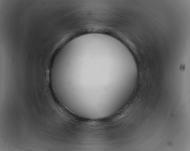 X0000101470067200807071229