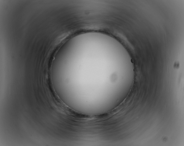 X0000101470068200807071229