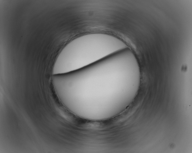 X0000101470069200807071229