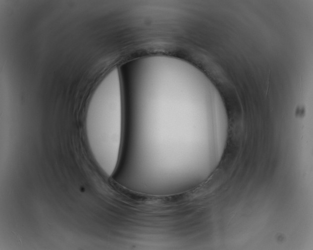 X0000101470070200807071229