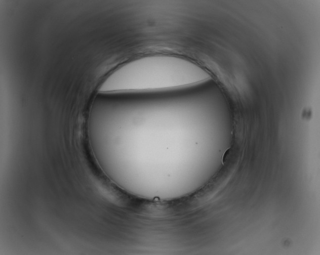 X0000101470071200807071229
