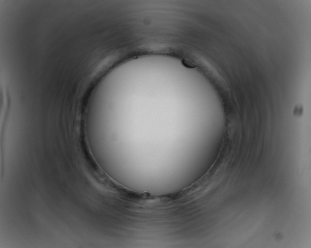 X0000101470072200807071229