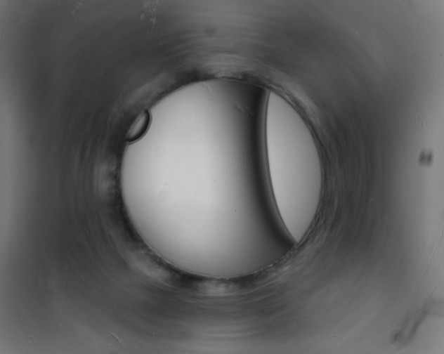X0000101470073200807071229