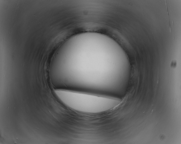 X0000101470074200807071229