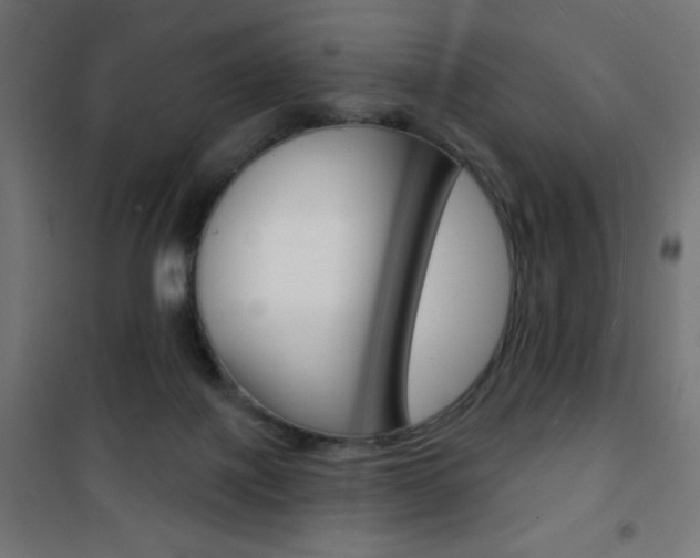 X0000101470075200807071229